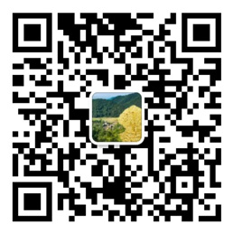 彩神lv江苏快3网址